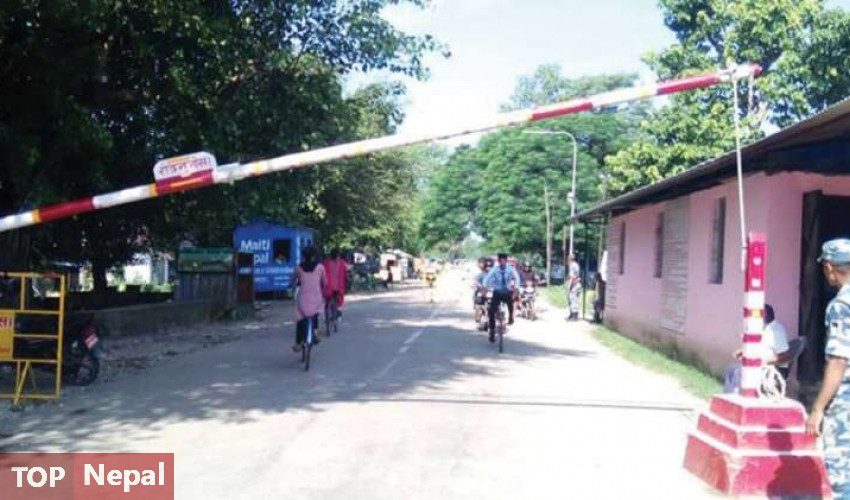 ६४ वर्ष पछि फेला पर्यो अनौठो चरा, आधा मानिस, आधा पंक्षी !