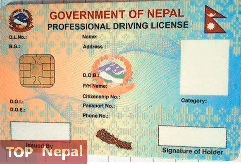 ६४ वर्ष पछि फेला पर्यो अनौठो चरा, आधा मानिस, आधा पंक्षी !