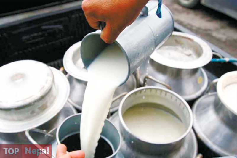 ६४ वर्ष पछि फेला पर्यो अनौठो चरा, आधा मानिस, आधा पंक्षी !