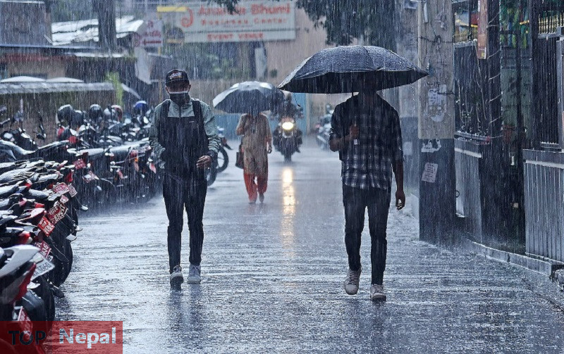 ६४ वर्ष पछि फेला पर्यो अनौठो चरा, आधा मानिस, आधा पंक्षी !
