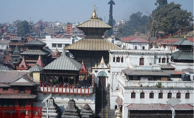 ६४ वर्ष पछि फेला पर्यो अनौठो चरा, आधा मानिस, आधा पंक्षी !