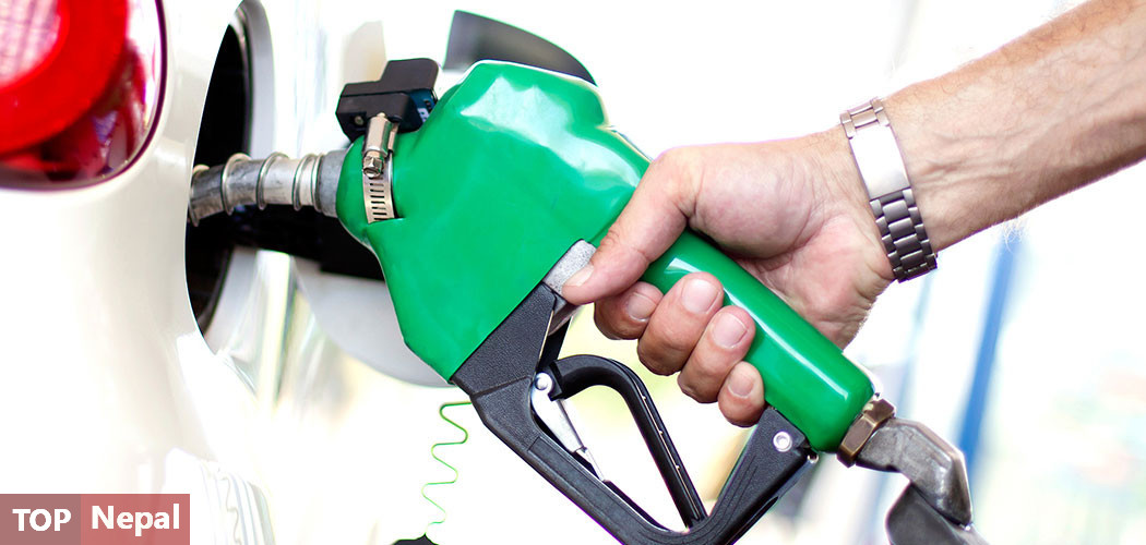 ६४ वर्ष पछि फेला पर्यो अनौठो चरा, आधा मानिस, आधा पंक्षी !