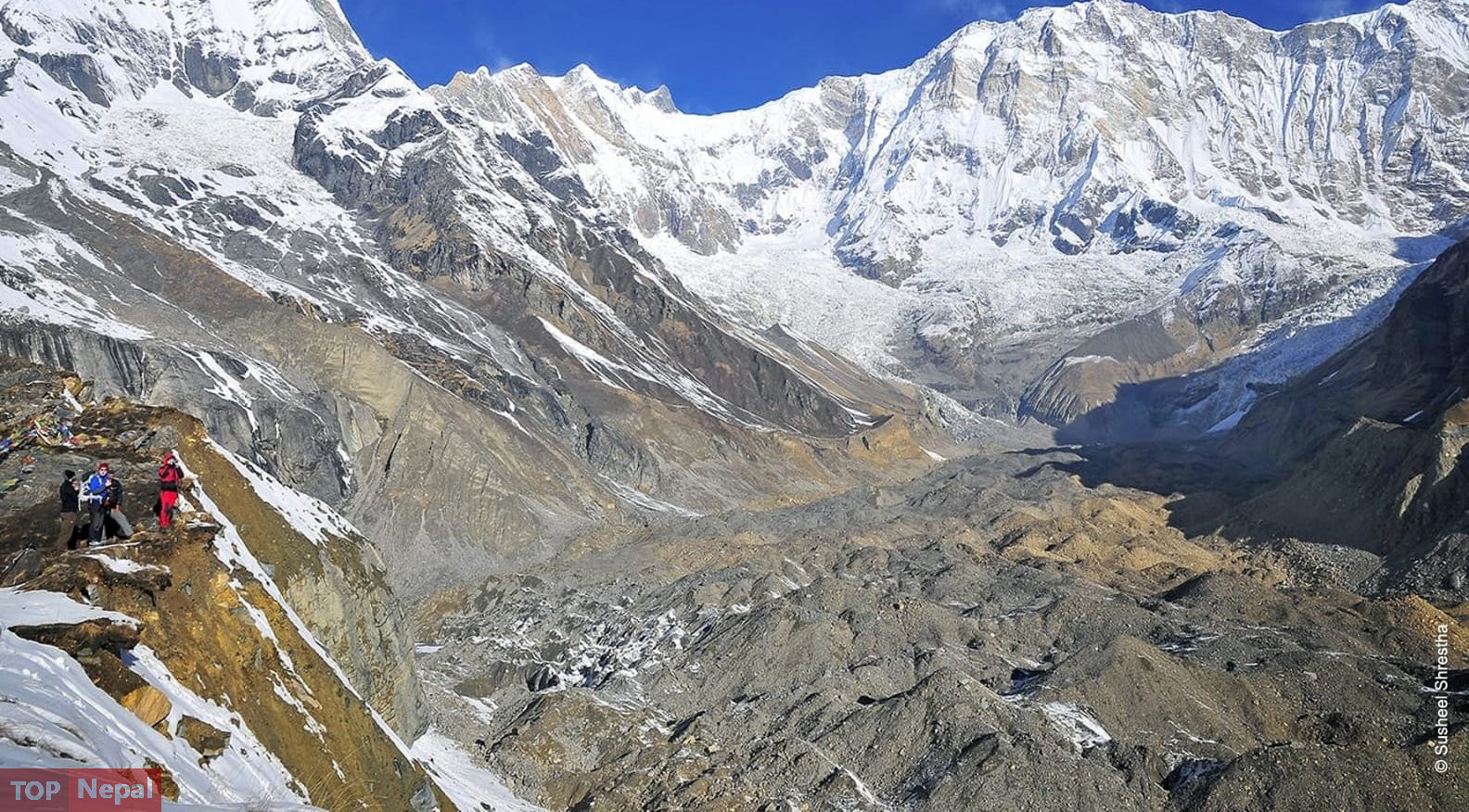 ६४ वर्ष पछि फेला पर्यो अनौठो चरा, आधा मानिस, आधा पंक्षी !