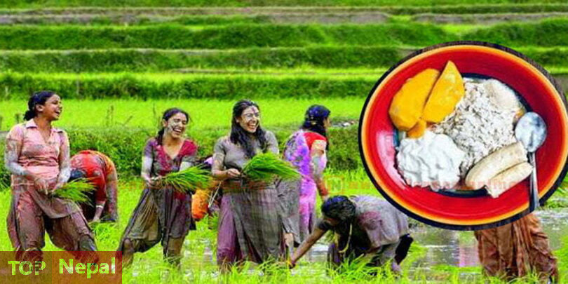 ६४ वर्ष पछि फेला पर्यो अनौठो चरा, आधा मानिस, आधा पंक्षी !