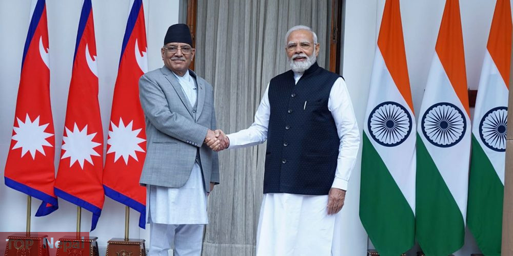 ६४ वर्ष पछि फेला पर्यो अनौठो चरा, आधा मानिस, आधा पंक्षी !