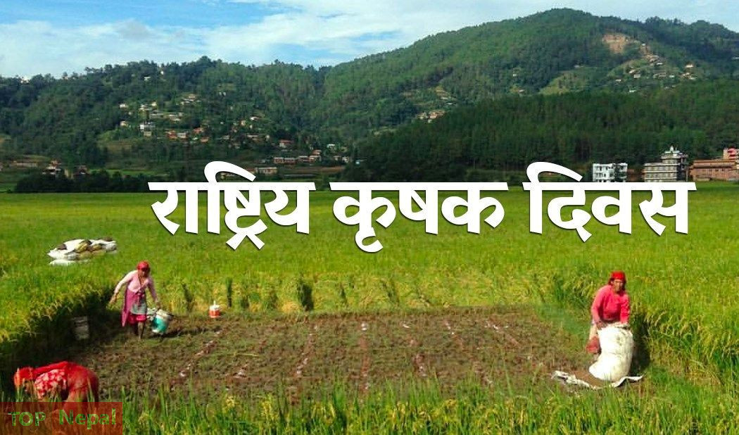 ६४ वर्ष पछि फेला पर्यो अनौठो चरा, आधा मानिस, आधा पंक्षी !