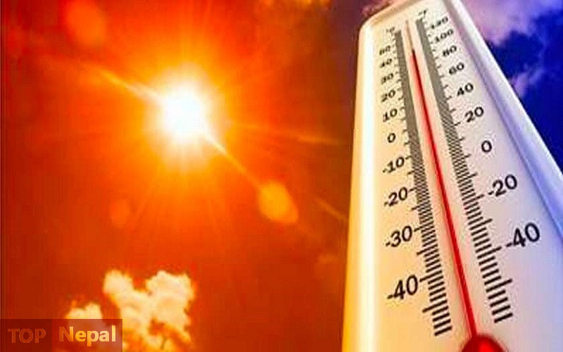६४ वर्ष पछि फेला पर्यो अनौठो चरा, आधा मानिस, आधा पंक्षी !