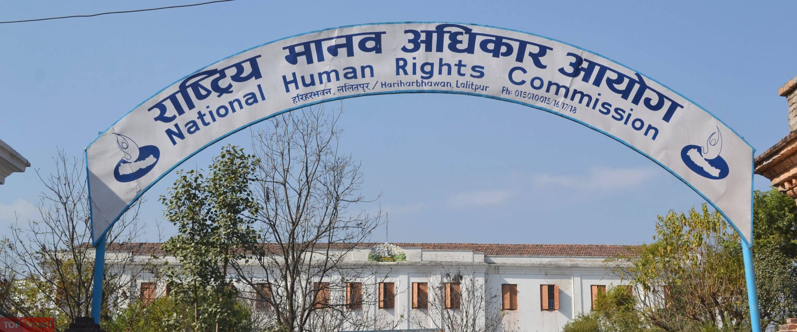 ६४ वर्ष पछि फेला पर्यो अनौठो चरा, आधा मानिस, आधा पंक्षी !