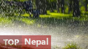 ६४ वर्ष पछि फेला पर्यो अनौठो चरा, आधा मानिस, आधा पंक्षी !