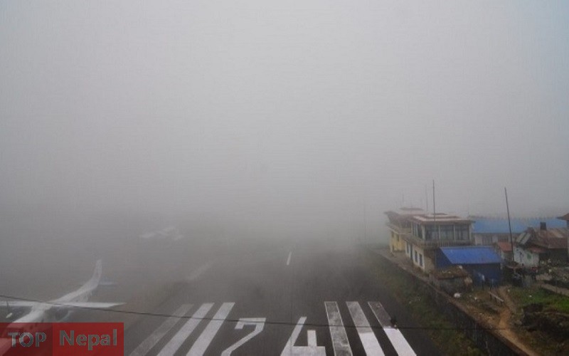 ६४ वर्ष पछि फेला पर्यो अनौठो चरा, आधा मानिस, आधा पंक्षी !