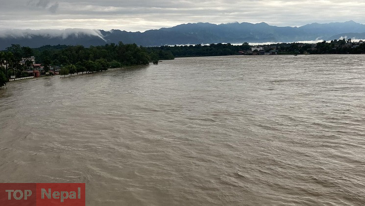 ६४ वर्ष पछि फेला पर्यो अनौठो चरा, आधा मानिस, आधा पंक्षी !