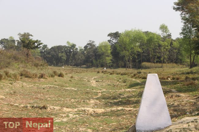 ६४ वर्ष पछि फेला पर्यो अनौठो चरा, आधा मानिस, आधा पंक्षी !
