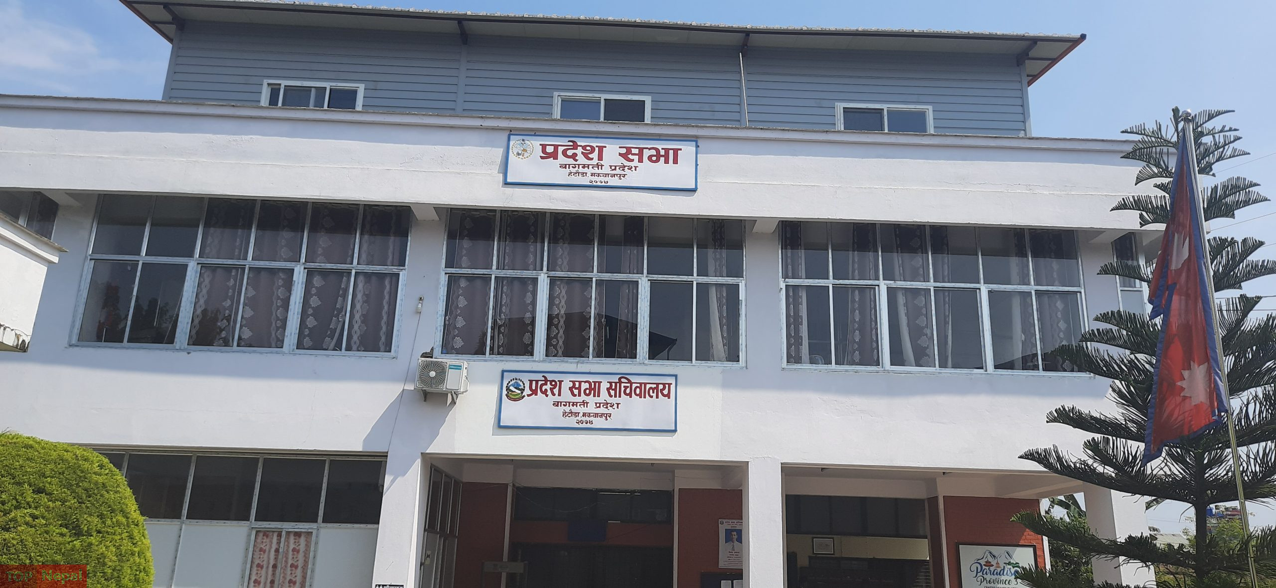 ६४ वर्ष पछि फेला पर्यो अनौठो चरा, आधा मानिस, आधा पंक्षी !