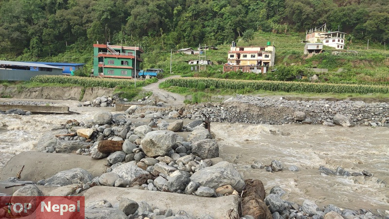 ६४ वर्ष पछि फेला पर्यो अनौठो चरा, आधा मानिस, आधा पंक्षी !