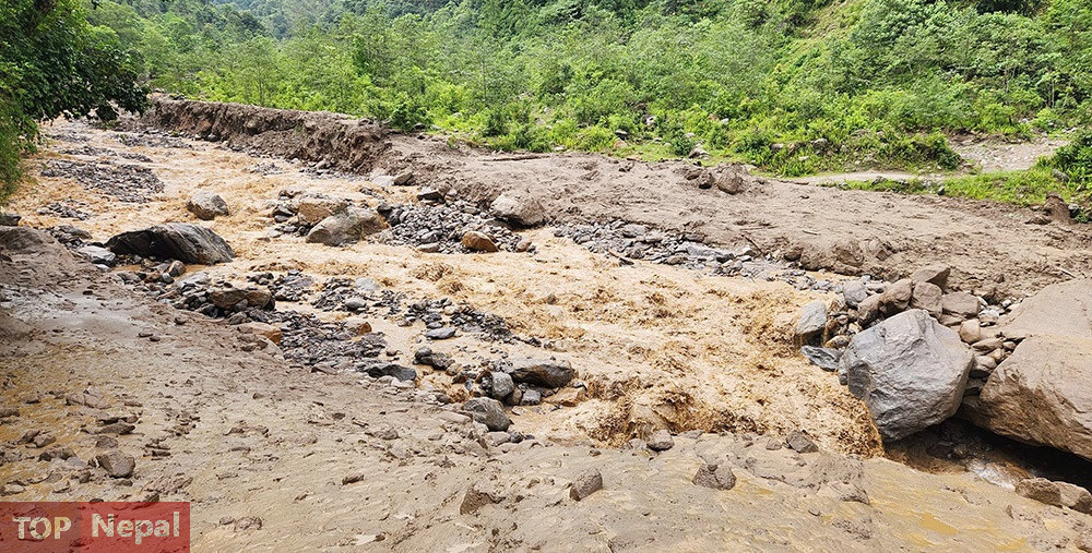 ६४ वर्ष पछि फेला पर्यो अनौठो चरा, आधा मानिस, आधा पंक्षी !