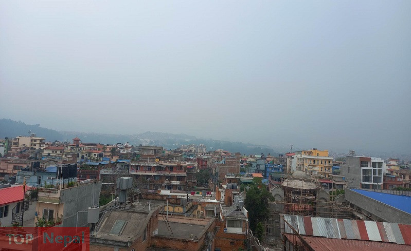 ६४ वर्ष पछि फेला पर्यो अनौठो चरा, आधा मानिस, आधा पंक्षी !