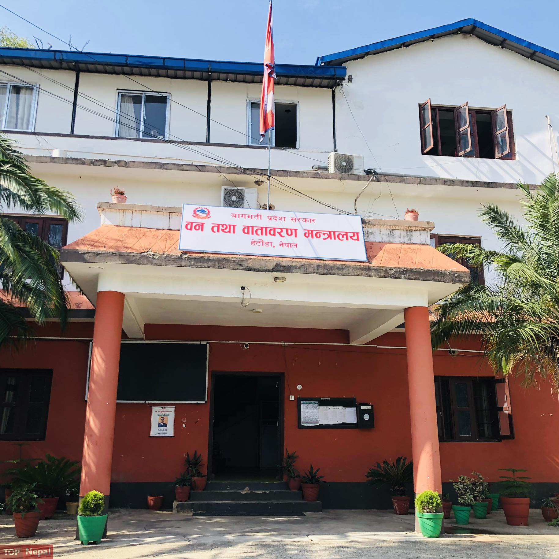 ६४ वर्ष पछि फेला पर्यो अनौठो चरा, आधा मानिस, आधा पंक्षी !