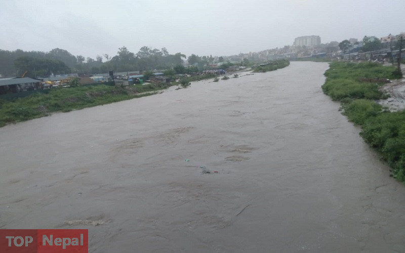 ६४ वर्ष पछि फेला पर्यो अनौठो चरा, आधा मानिस, आधा पंक्षी !