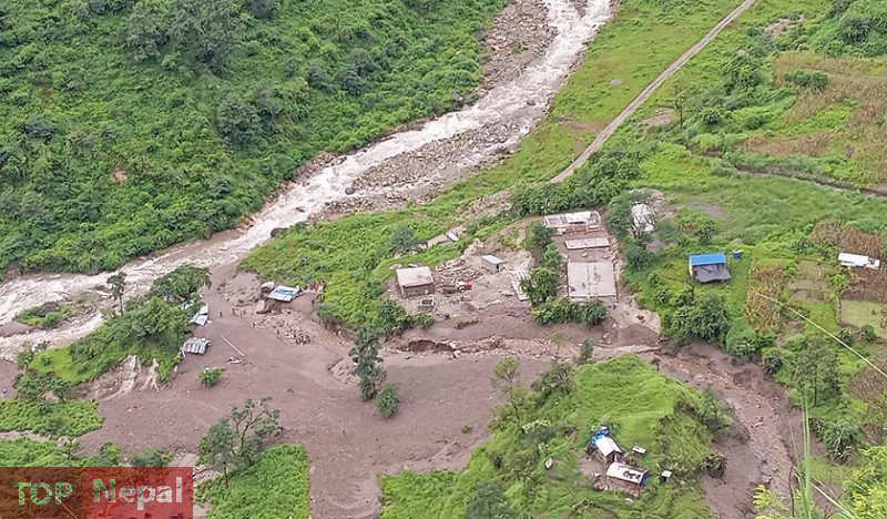 ६४ वर्ष पछि फेला पर्यो अनौठो चरा, आधा मानिस, आधा पंक्षी !