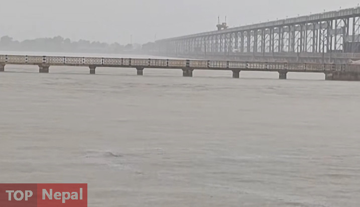 ६४ वर्ष पछि फेला पर्यो अनौठो चरा, आधा मानिस, आधा पंक्षी !