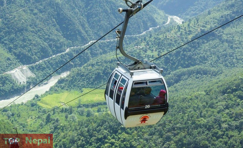 ६४ वर्ष पछि फेला पर्यो अनौठो चरा, आधा मानिस, आधा पंक्षी !