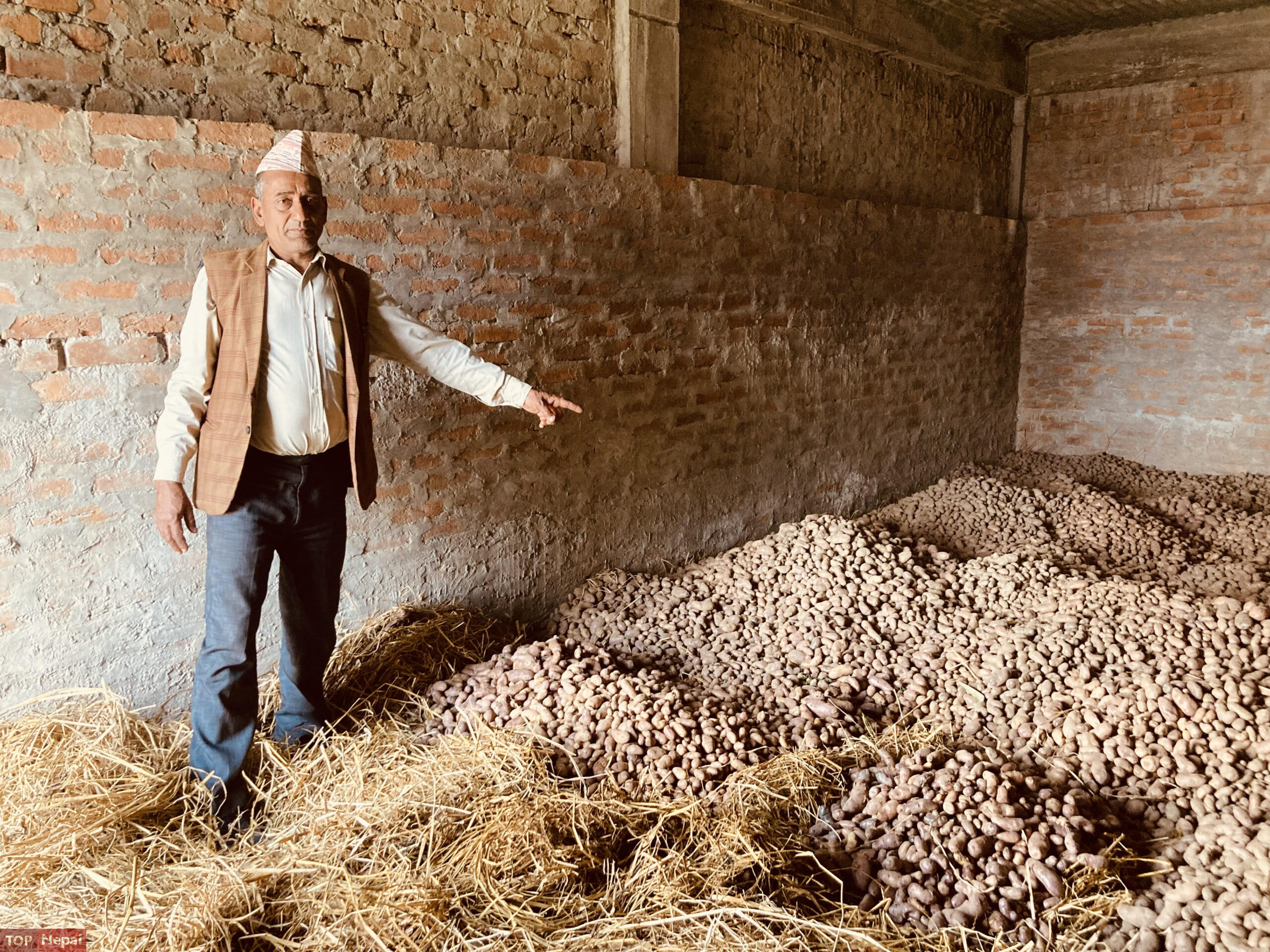६४ वर्ष पछि फेला पर्यो अनौठो चरा, आधा मानिस, आधा पंक्षी !