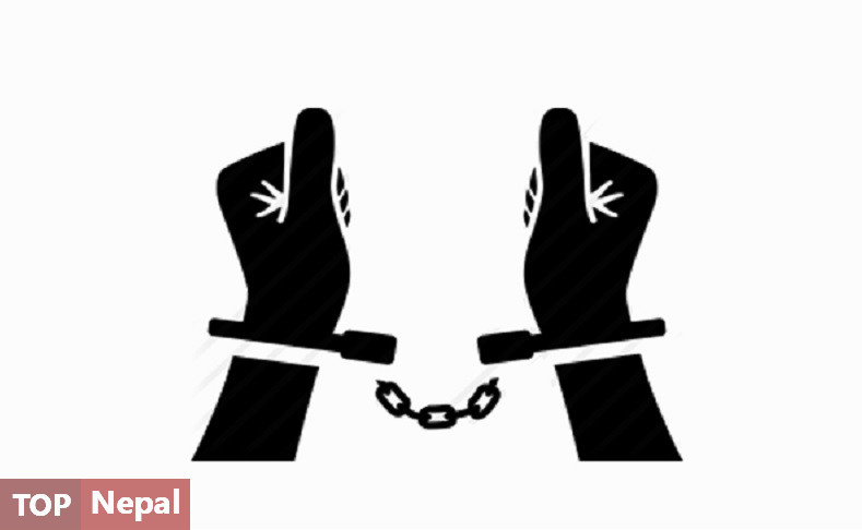 ६४ वर्ष पछि फेला पर्यो अनौठो चरा, आधा मानिस, आधा पंक्षी !