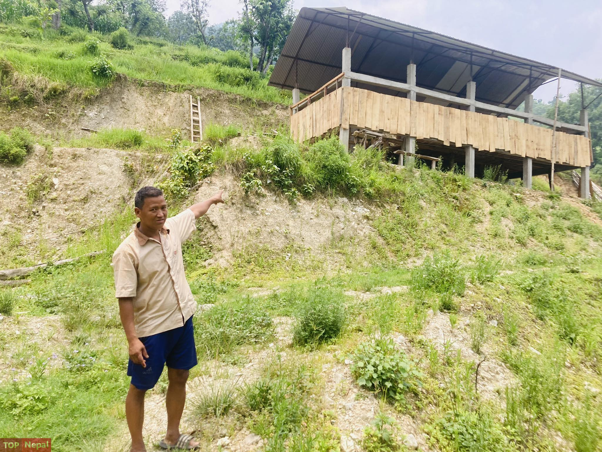 ६४ वर्ष पछि फेला पर्यो अनौठो चरा, आधा मानिस, आधा पंक्षी !