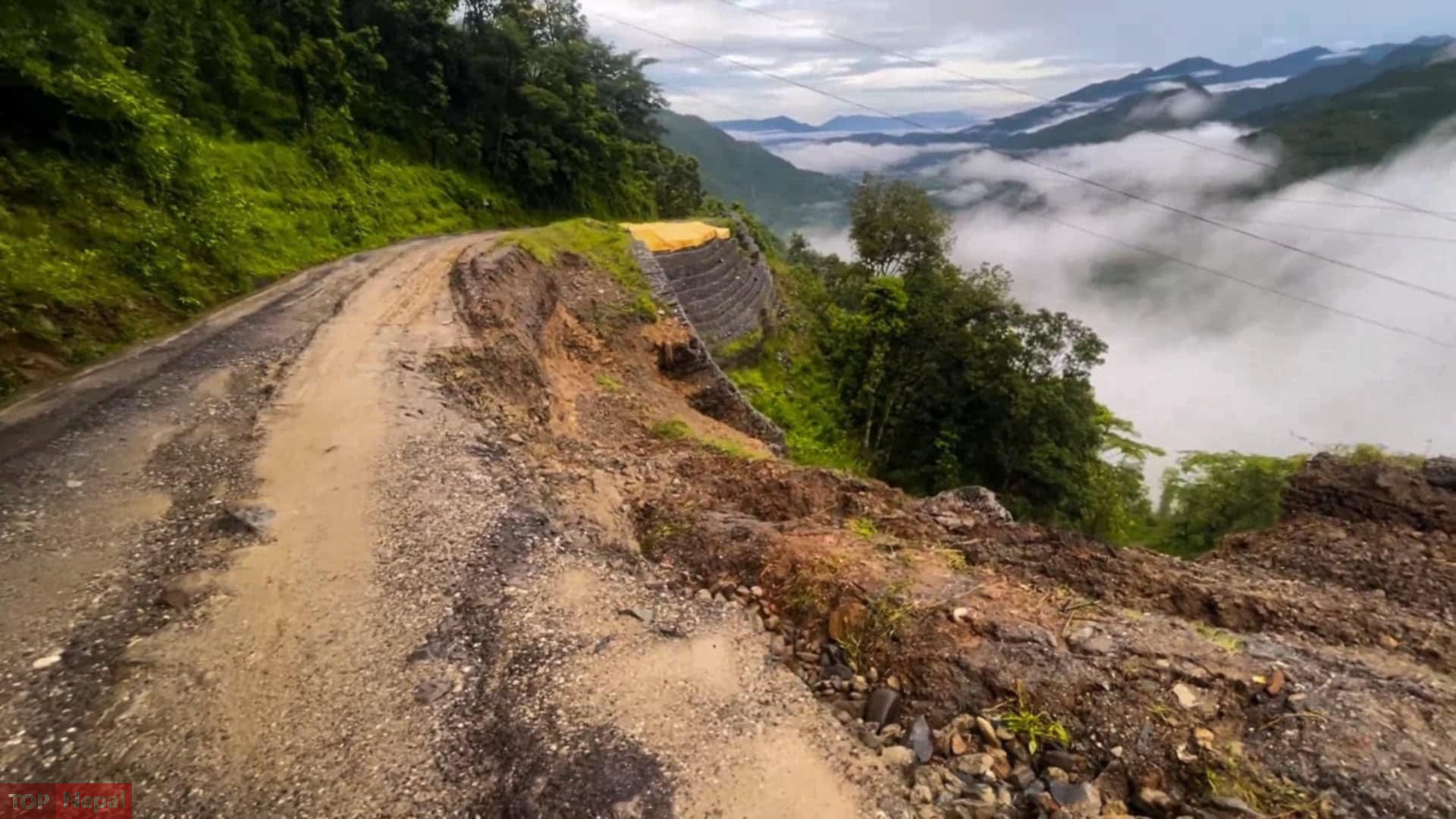 ६४ वर्ष पछि फेला पर्यो अनौठो चरा, आधा मानिस, आधा पंक्षी !