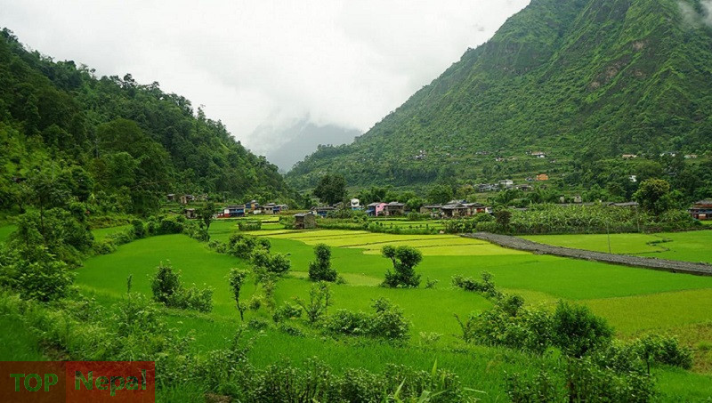 ६४ वर्ष पछि फेला पर्यो अनौठो चरा, आधा मानिस, आधा पंक्षी !