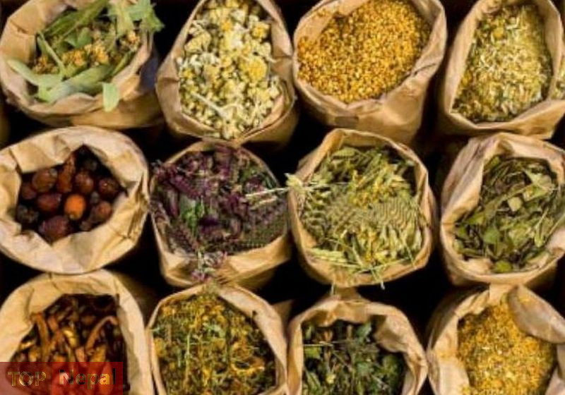 ६४ वर्ष पछि फेला पर्यो अनौठो चरा, आधा मानिस, आधा पंक्षी !