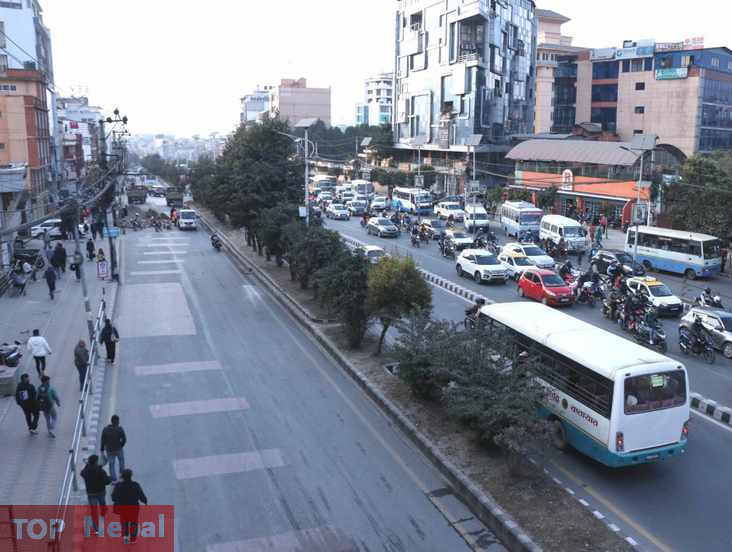 ६४ वर्ष पछि फेला पर्यो अनौठो चरा, आधा मानिस, आधा पंक्षी !