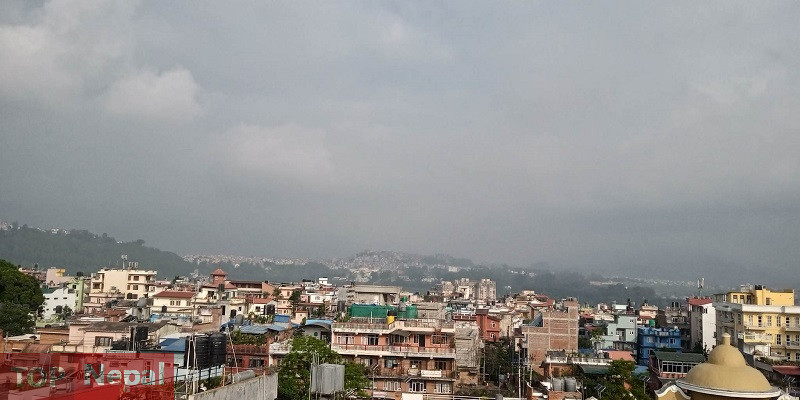 ६४ वर्ष पछि फेला पर्यो अनौठो चरा, आधा मानिस, आधा पंक्षी !