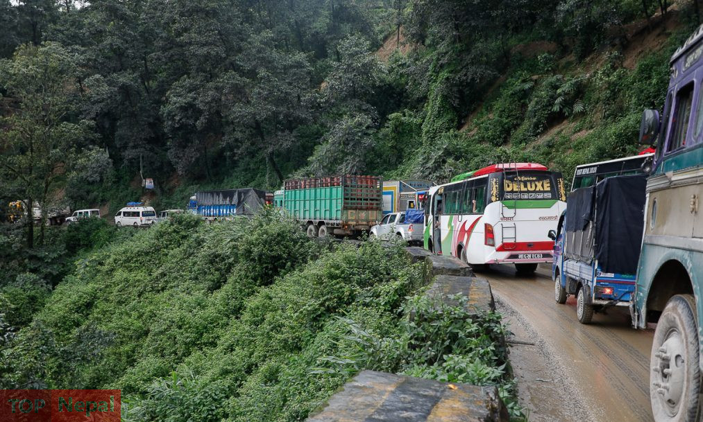 ६४ वर्ष पछि फेला पर्यो अनौठो चरा, आधा मानिस, आधा पंक्षी !