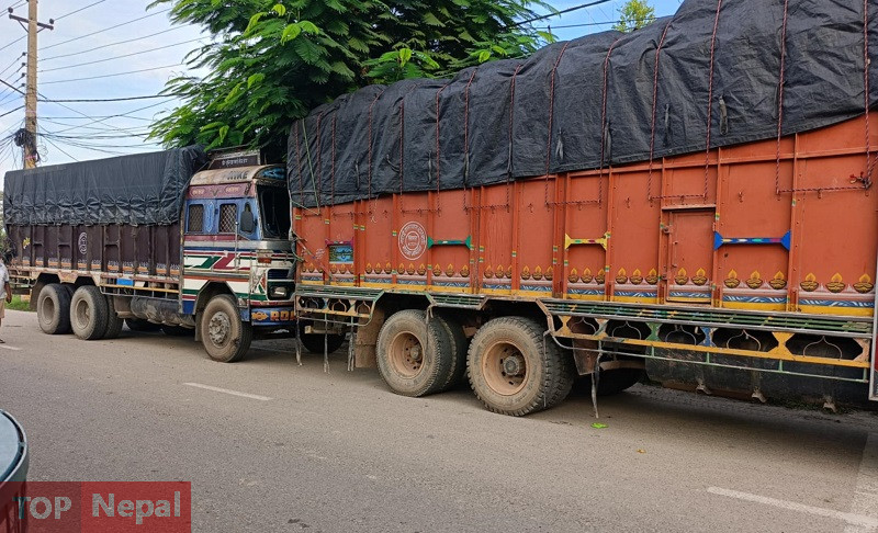 ६४ वर्ष पछि फेला पर्यो अनौठो चरा, आधा मानिस, आधा पंक्षी !