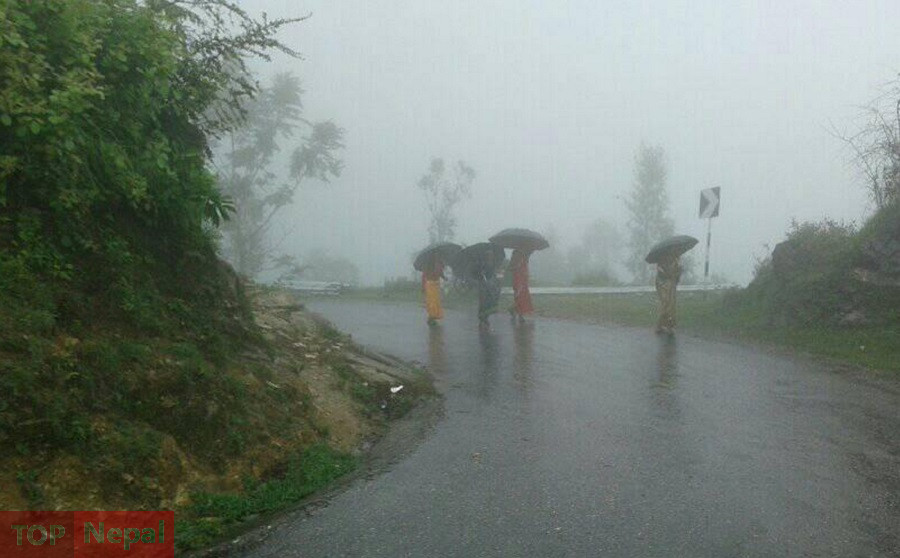 ६४ वर्ष पछि फेला पर्यो अनौठो चरा, आधा मानिस, आधा पंक्षी !