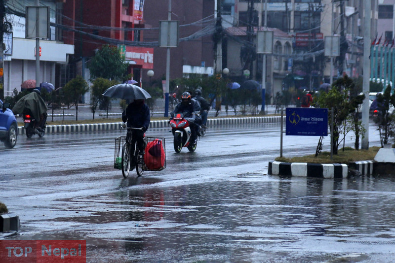 ६४ वर्ष पछि फेला पर्यो अनौठो चरा, आधा मानिस, आधा पंक्षी !