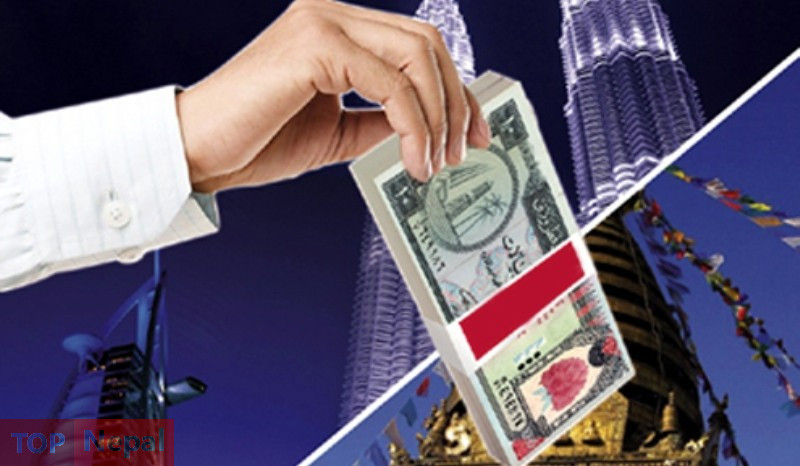 ६४ वर्ष पछि फेला पर्यो अनौठो चरा, आधा मानिस, आधा पंक्षी !