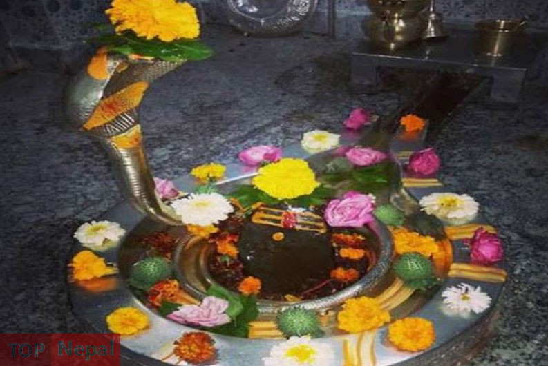 ६४ वर्ष पछि फेला पर्यो अनौठो चरा, आधा मानिस, आधा पंक्षी !