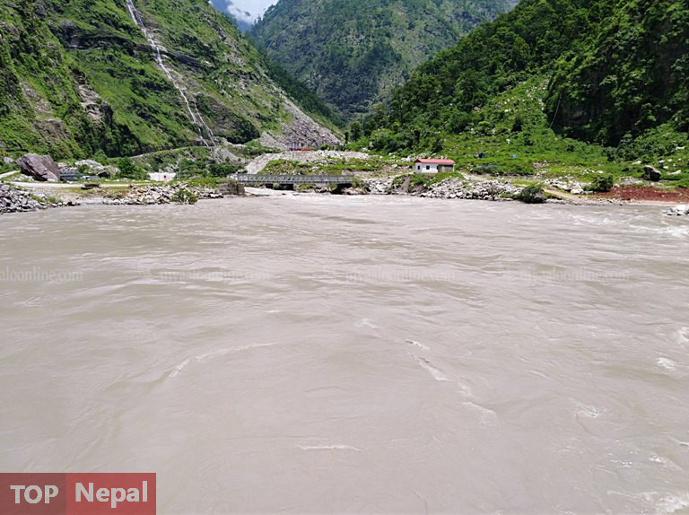 ६४ वर्ष पछि फेला पर्यो अनौठो चरा, आधा मानिस, आधा पंक्षी !