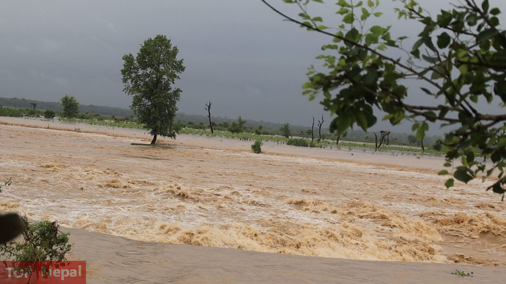 ६४ वर्ष पछि फेला पर्यो अनौठो चरा, आधा मानिस, आधा पंक्षी !