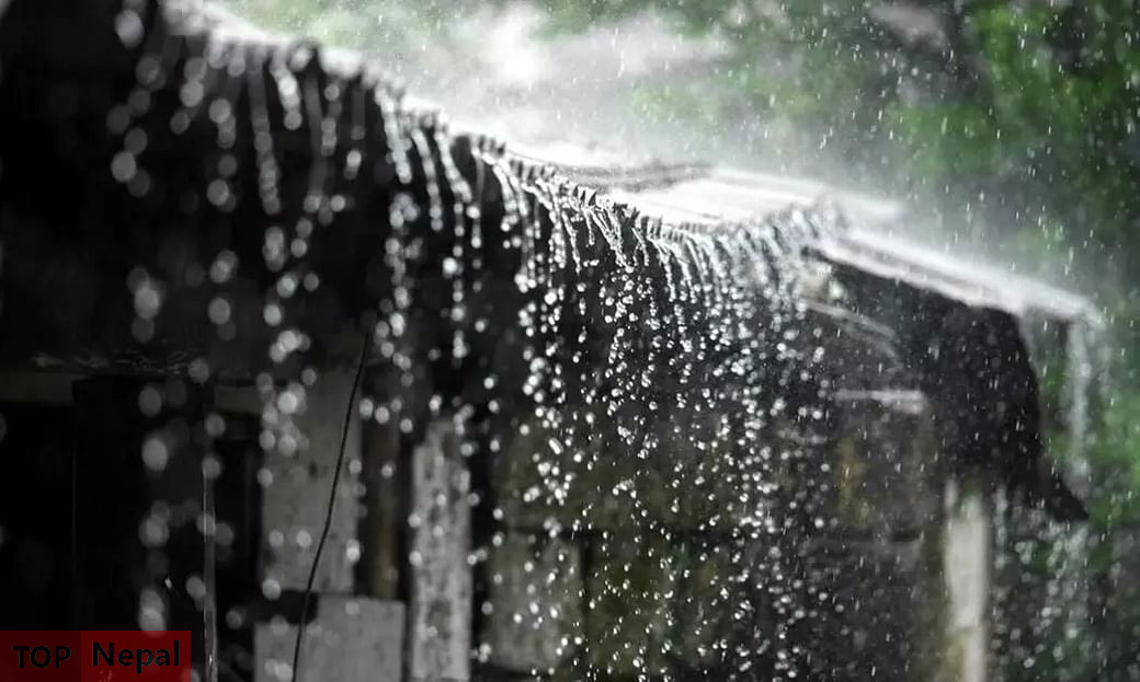 ६४ वर्ष पछि फेला पर्यो अनौठो चरा, आधा मानिस, आधा पंक्षी !