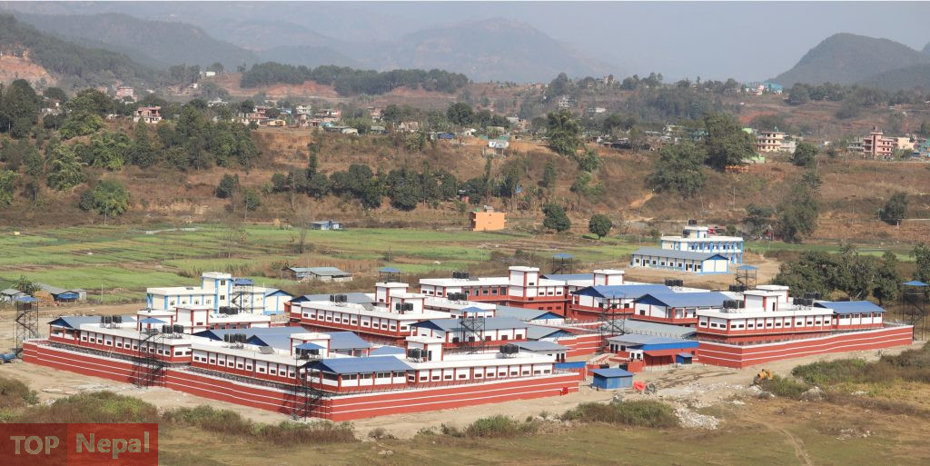 ६४ वर्ष पछि फेला पर्यो अनौठो चरा, आधा मानिस, आधा पंक्षी !
