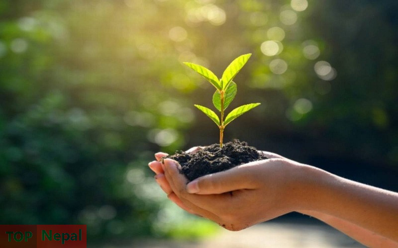 ६४ वर्ष पछि फेला पर्यो अनौठो चरा, आधा मानिस, आधा पंक्षी !