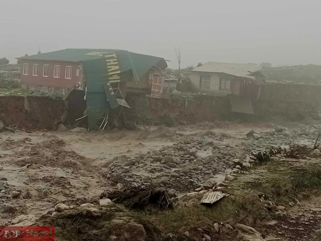 ६४ वर्ष पछि फेला पर्यो अनौठो चरा, आधा मानिस, आधा पंक्षी !