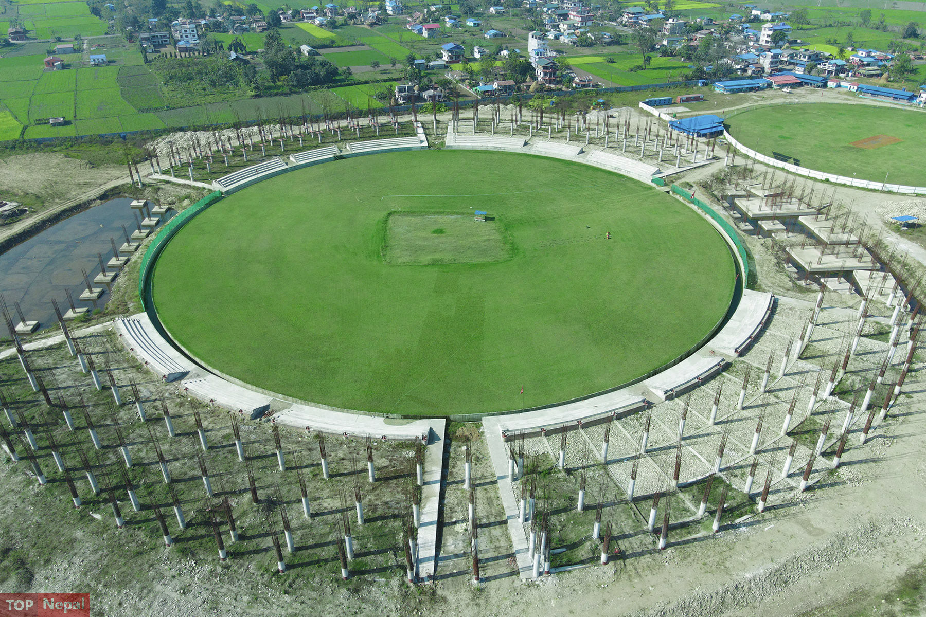 ६४ वर्ष पछि फेला पर्यो अनौठो चरा, आधा मानिस, आधा पंक्षी !