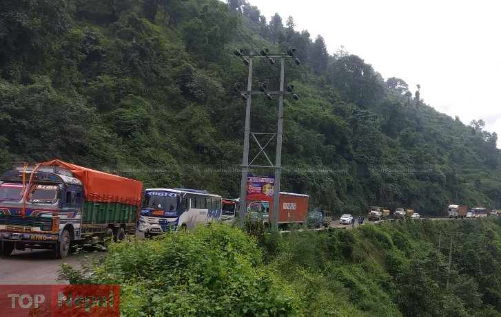 ६४ वर्ष पछि फेला पर्यो अनौठो चरा, आधा मानिस, आधा पंक्षी !