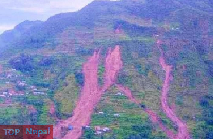 ६४ वर्ष पछि फेला पर्यो अनौठो चरा, आधा मानिस, आधा पंक्षी !