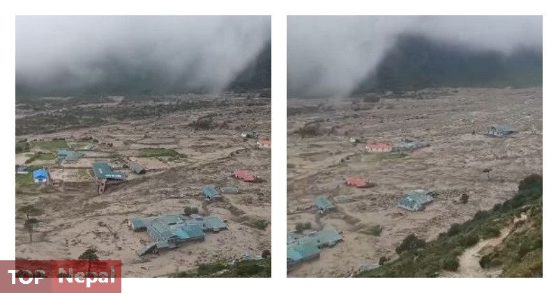 ६४ वर्ष पछि फेला पर्यो अनौठो चरा, आधा मानिस, आधा पंक्षी !