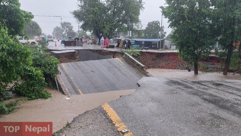 ६४ वर्ष पछि फेला पर्यो अनौठो चरा, आधा मानिस, आधा पंक्षी !